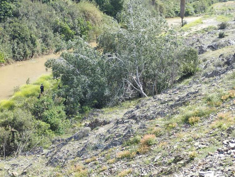 مسودة تلقائية