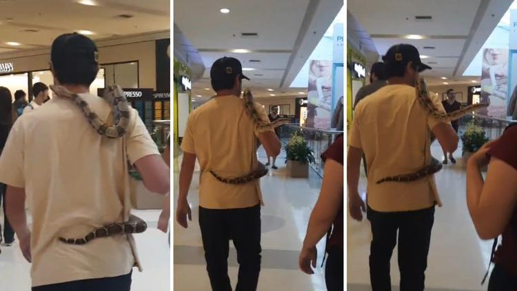 VÍDEO: homem passeia com cobra enrolada no pescoço em shopping no interior de SP