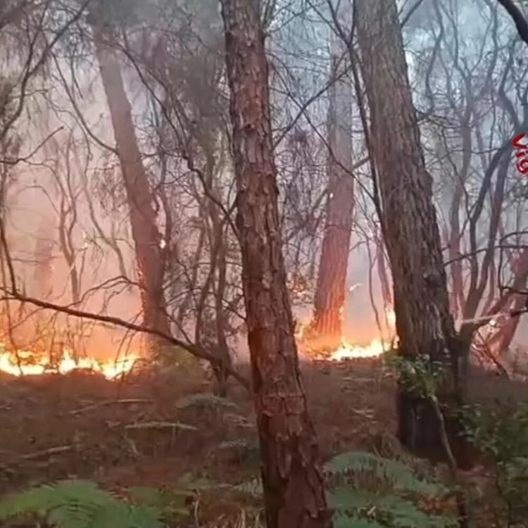 Fiamme sul monte Faeta, il rogo minaccia le abitazioni