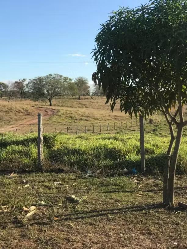 Equatorial Maranhão orienta sobre instalação de cercas de arame em áreas rurais