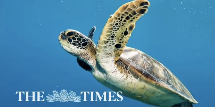 Tropea tra i 20 luoghi più belli d’Italia per il Times, Occhiuto: «La Calabria vive una nuova stagione»