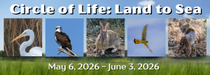 “Circle of Life: Land to Sea” Exhibition