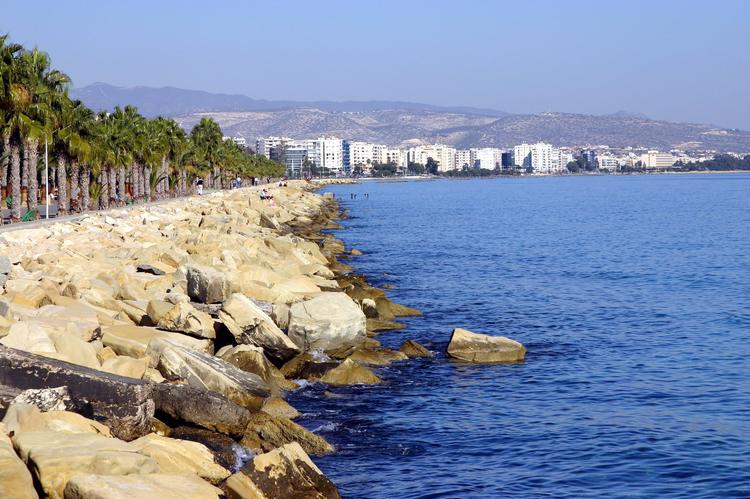 View of the Limassol seafront in Cyprus with palm trees, rocks, the sea, and the city skyline in the background.