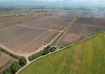 How MAS Seeds is Accelerating Temperate Corn and Sunflower Breeding