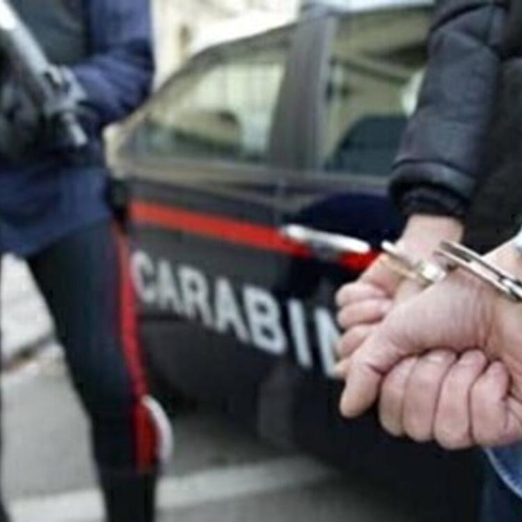 Parma: topo d'appartamento trova due Pastori del Caucaso, si rifugia sull'auto e chiama il 112