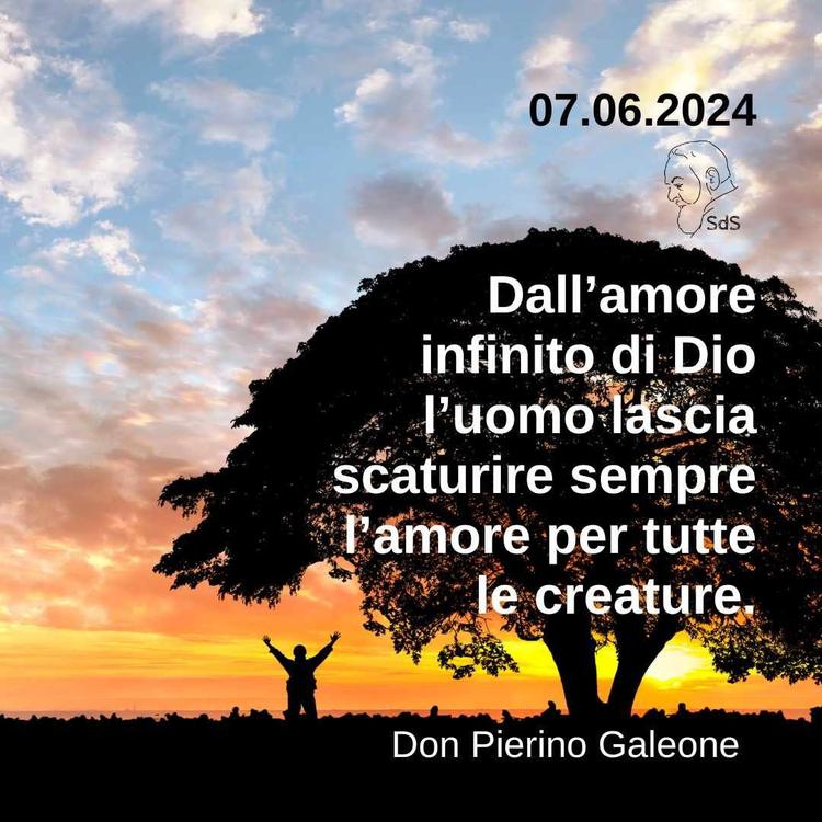 07.06.24
Dall’amore infinito di Dio l’uomo lascia scaturire sempre l’amore per tutte le creature.
Don Pierino Galeone
