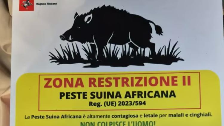 Ordinanza della Regione per avvisare i cittadini della peste suina