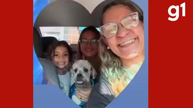 Caso Teddy: cachorro que sofreu queimaduras em pet shop clandestino  recebe alta em Cuiabá