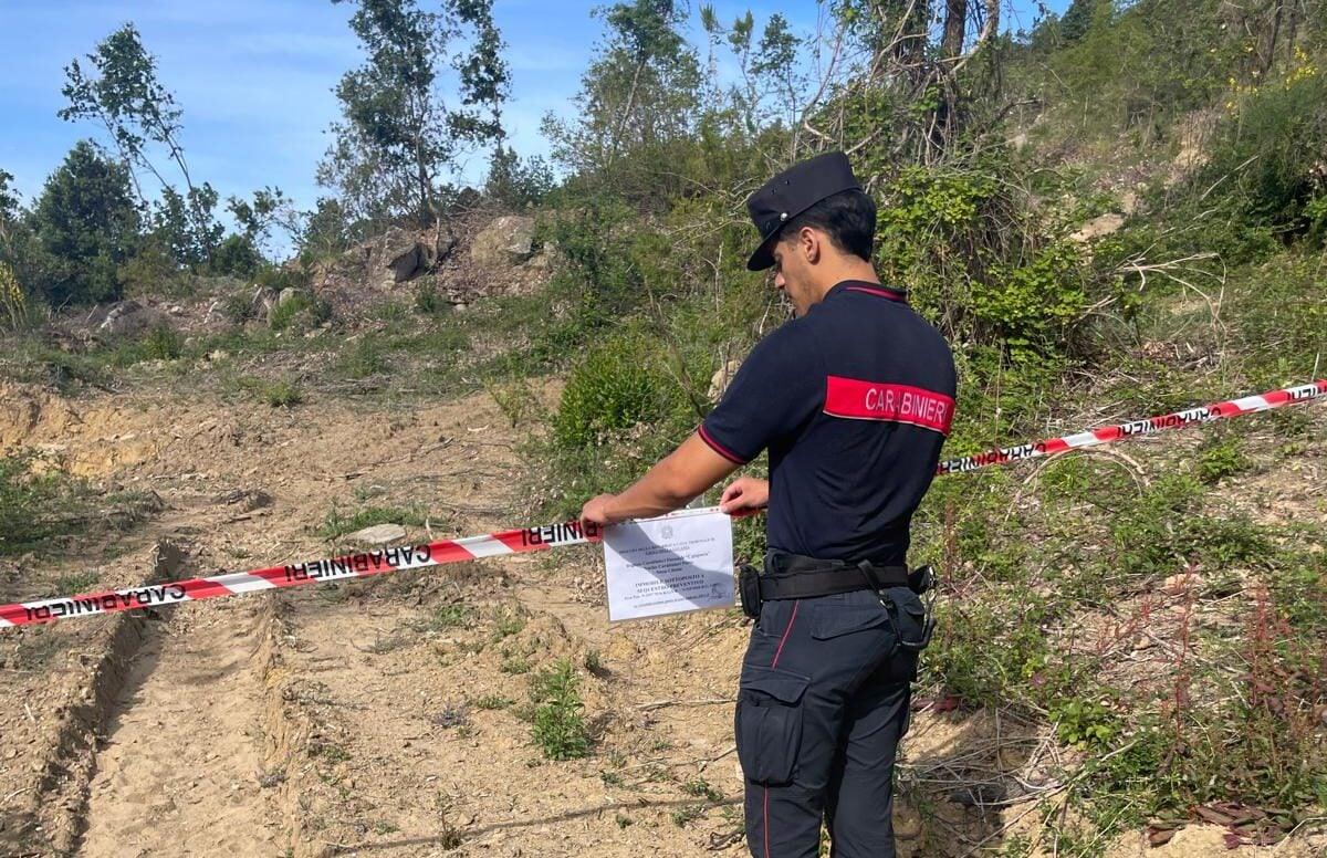 Abusi edilizi e sbancamenti nel Parco del Cilento: sequestrati 3 ettari di bosco a Serramezzana