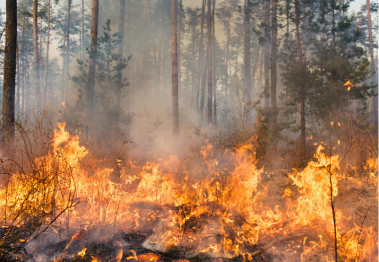 Le nord-Isère et le bassin lyonnais touchés par les particules fines des fumées des incendies de Gironde