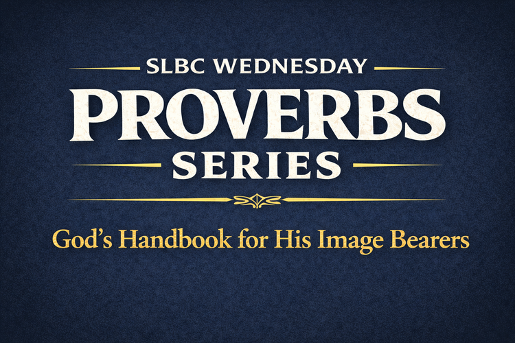 Dive into Proverbs with Our New Bible Study Series