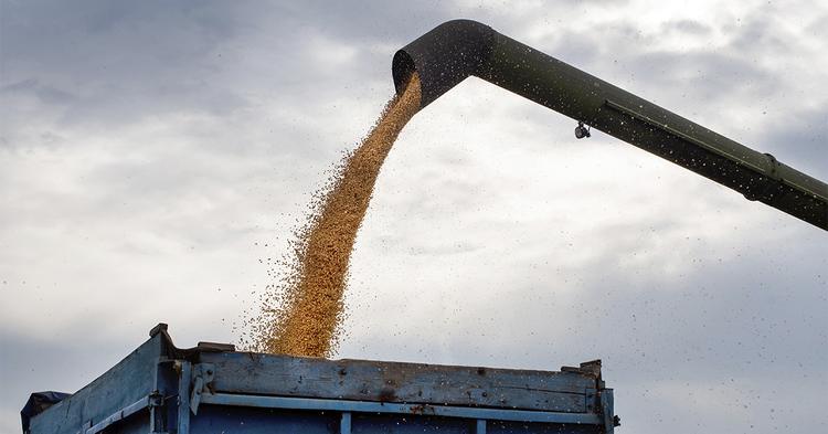 El Niño muda mapa de riscos para o início do plantio no Brasil