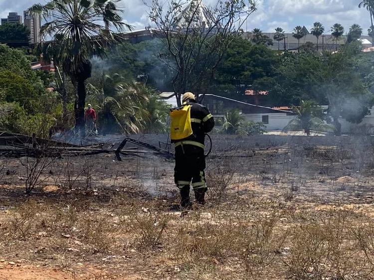 Incêndio atinge área de vegetação na UFRN, em Natal; Bombeiros investigam recorrência