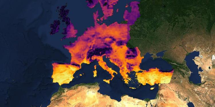 Incendi, allarme Ue: il rischio sale dal 31 luglio anche in Sicilia e Calabria e nel Centro Italia