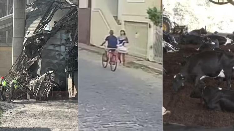 Você viu? Trabalhador morrem em mineradora, idoso esfaqueado em bicicleta e vacas deixam pasto para viver em ‘cama’