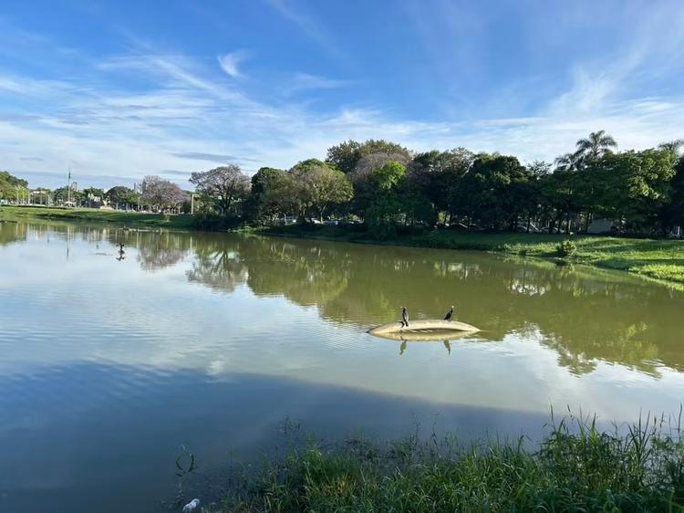Homem morre no Parque Ibirapuera, em SP, após passar mal durante atividade física