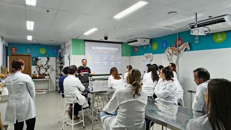 Como usar a Inteligência Artificial para estudar para o Enem
