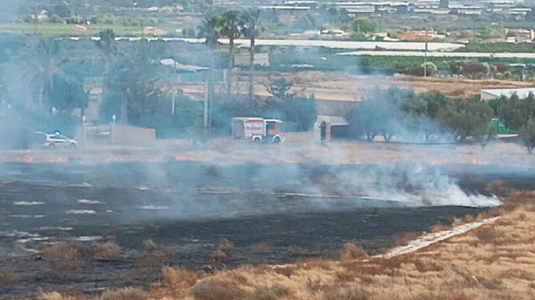 #Aspe: Un incendio de matorral moviliza a los servicios de emergencia junto a la avenida Cortes Valencianas