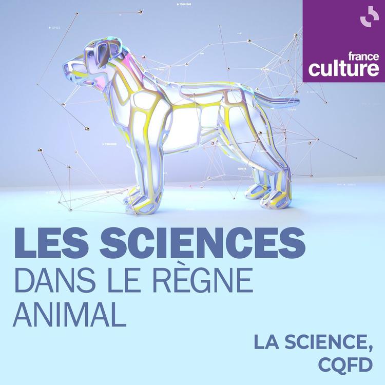 Les sciences dans le règne animal : Émotions des cétacés&nbsp;: les ondes sensibles