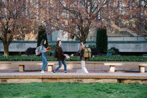 Let's Walk: The Question I Can't Stop Asking