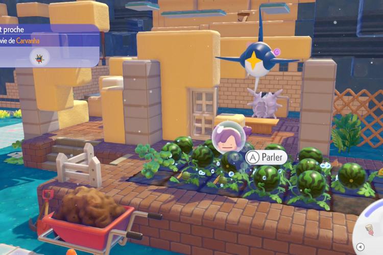 Pokopia Dlc Fonds Bulleux (4)