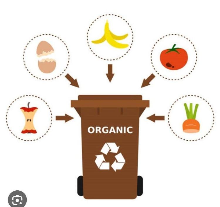 Domani la frazione organico non sarà ritirata si raccomanda di non esporre il mastello