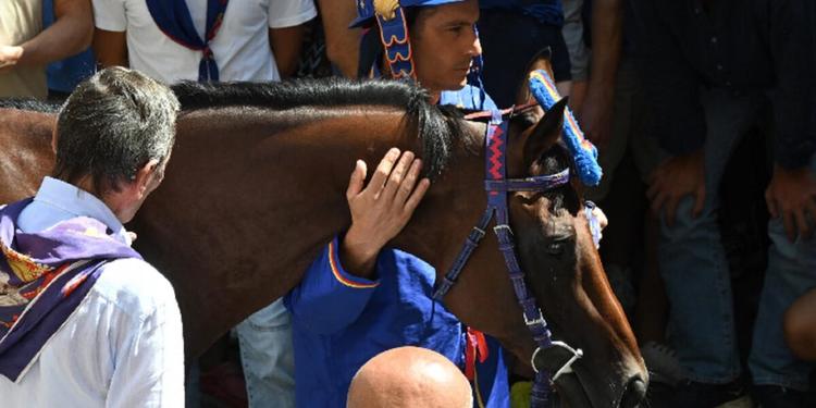 Palio di Siena, il Nicchio vince dopo 28 anni: Tittia si ripete