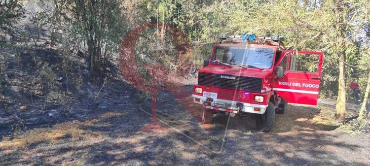 candia canavese incendio boschivo verso barone canavese