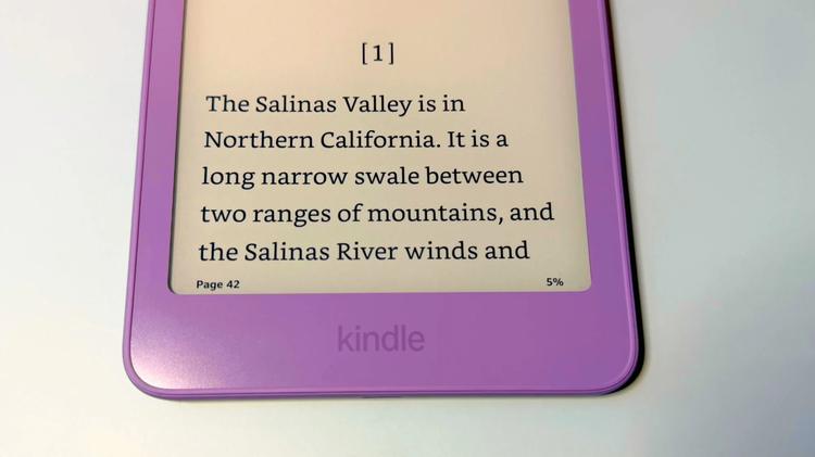 The Kindle progress bar on the bottom of the screen.