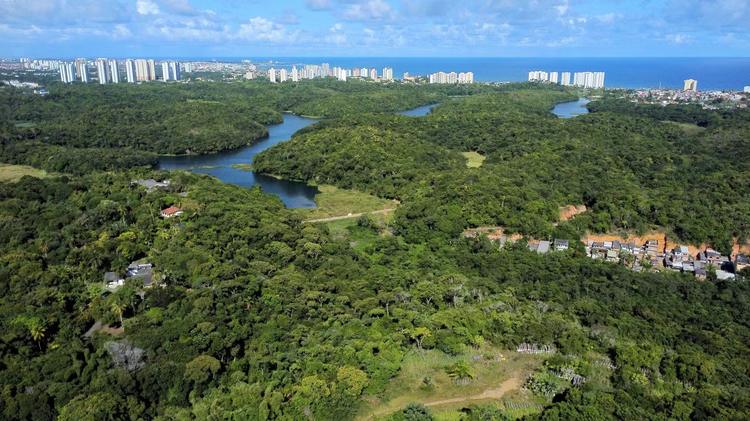 Confira lista de parques e áreas verdes para curtir a primavera em Salvador