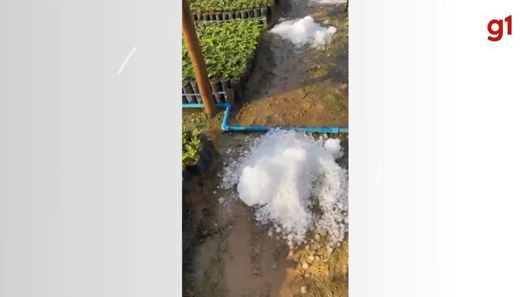 Chuva de granizo atinge Manhuaçu e cidades da Zona da Mata e afeta viveiros de café