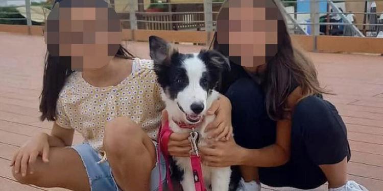 Sorelle ritrovate, la madre in carcere: «Le mie figlie vogliono me»