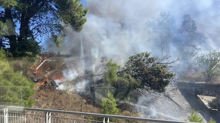 Pyrénées-Orientales : cinq incendies maîtrisés en quelques heures
