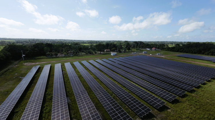 Sicredi Ouro Verde MT/PA amplia ações sustentáveis e supera R$ 2 bilhões em carteira de economia verde