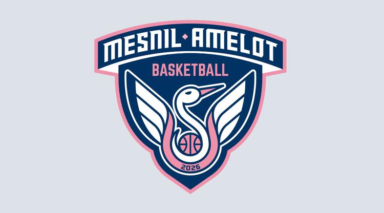 Nouveau club : bienvenue au BasketBall Mesnil-Amelot