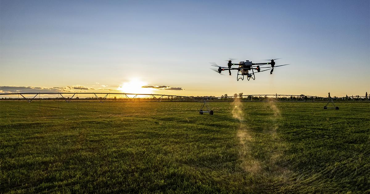 CMN aprova R$10 bi para inovação no agro; veja como cooperativas podem acessar