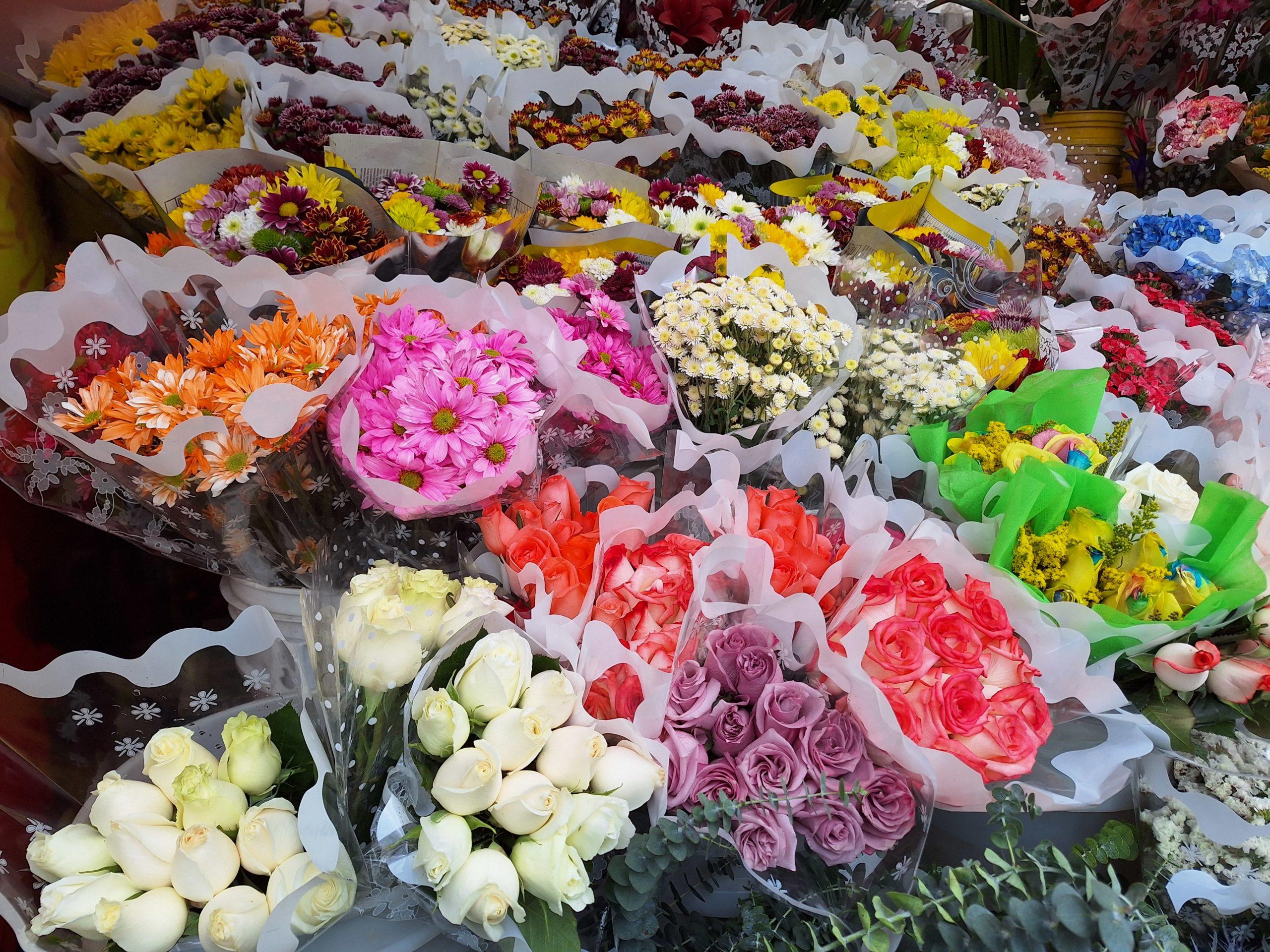 Mother’s Day Drives Surge in Colombia’s Flower Exports