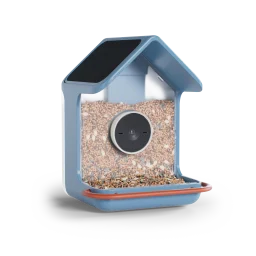 the birdbuddy home