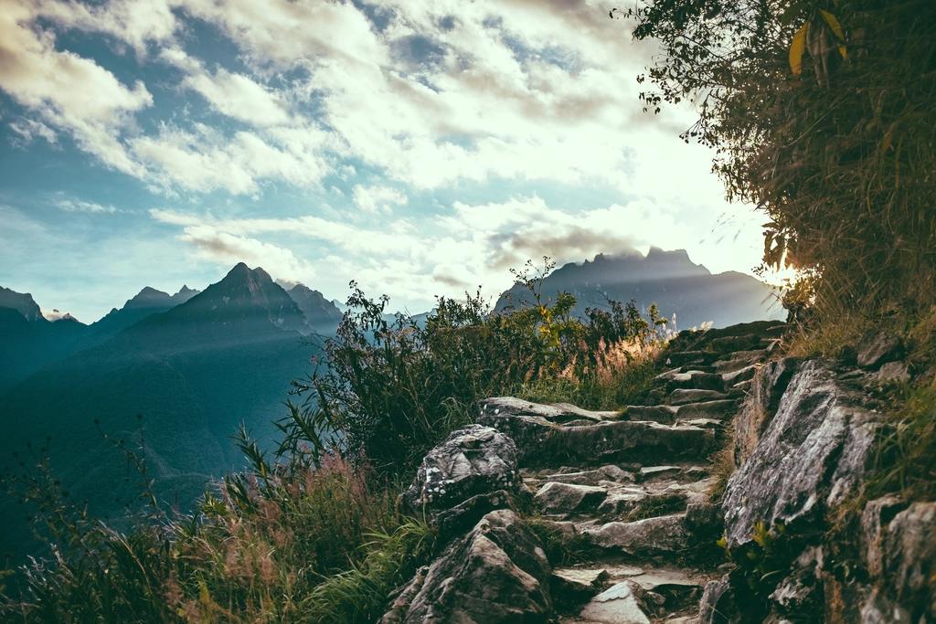 Semana Laudato Si’: jovens, esperança e cuidado com a Casa Comum
