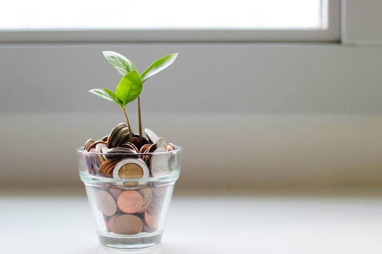 Italiani sempre più "formichine". Risparmio gestito mai così in alto