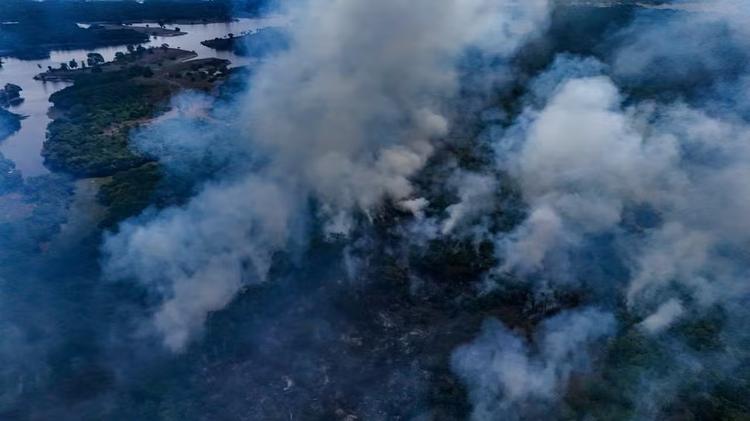 Fogo avança por mais de 200 hectares de floresta e assusta moradores de comunidades no Amazonas
