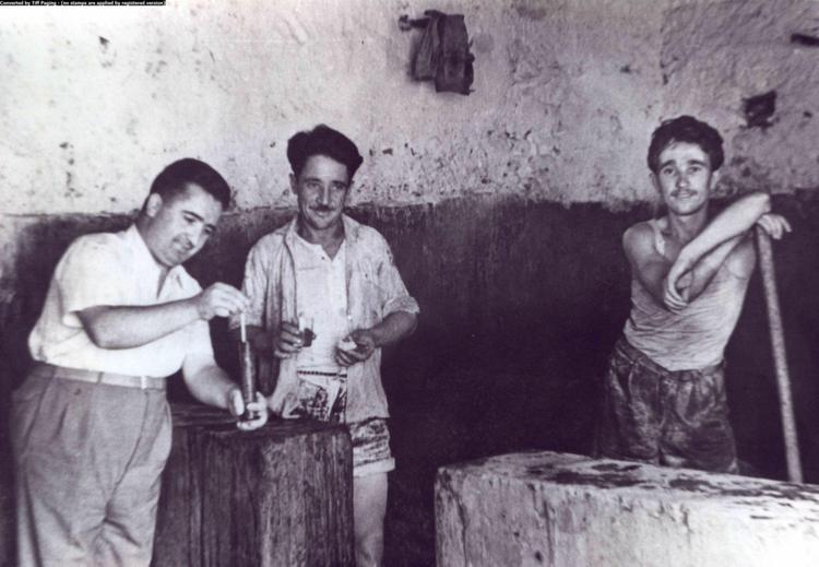 Retsina