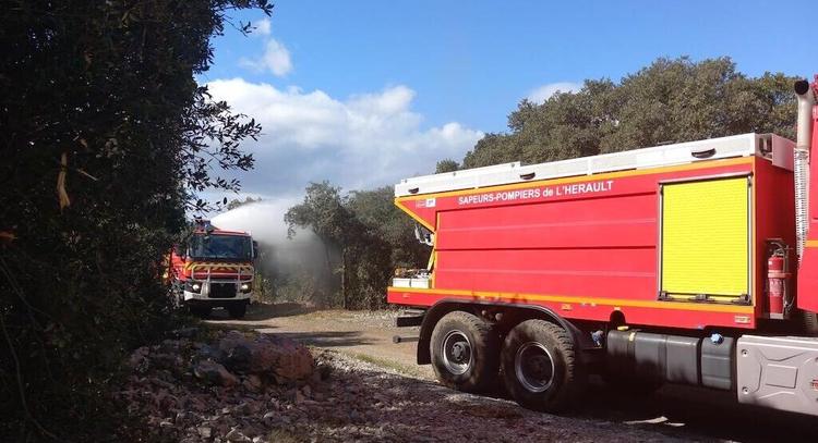 Hérault : un incendie dans le Minervois menace 50 hectares de forêt