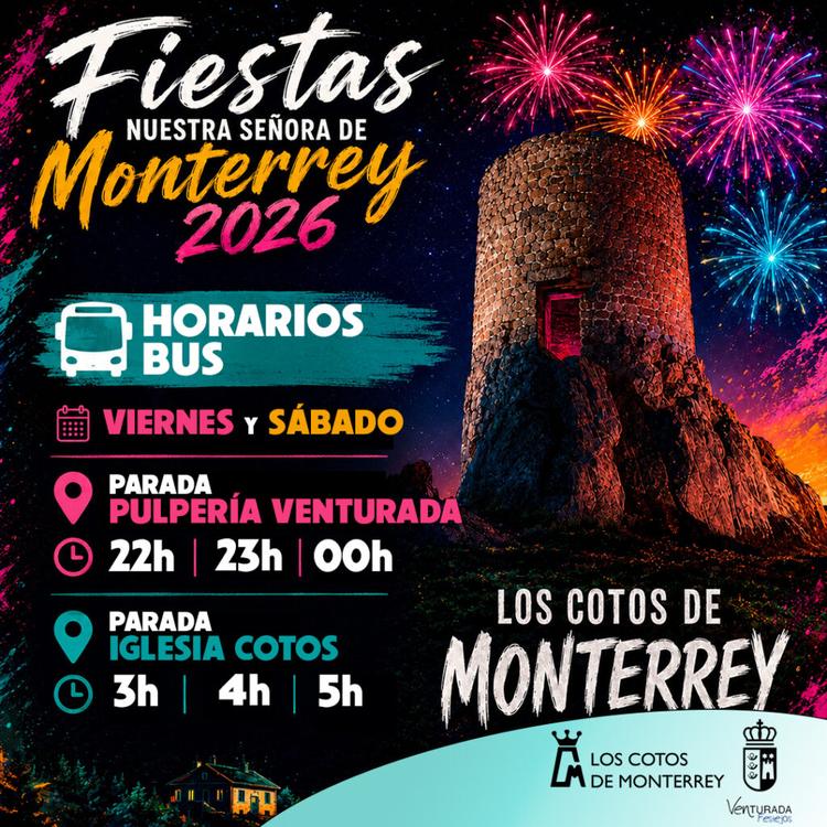 Servicio de minibús