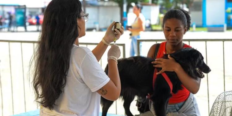 Projeto Castra Mais RJ oferece castrações gratuitas para cães e gatos em Cabo Frio