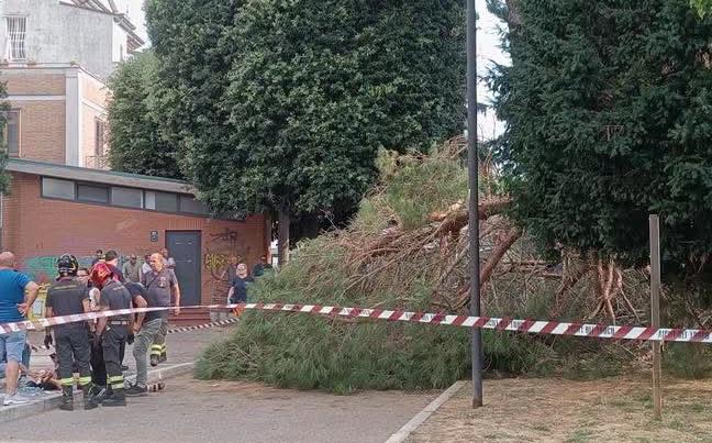 Rionero in Vulture, incidente in Villa Catena: un ramo colpisce una signora