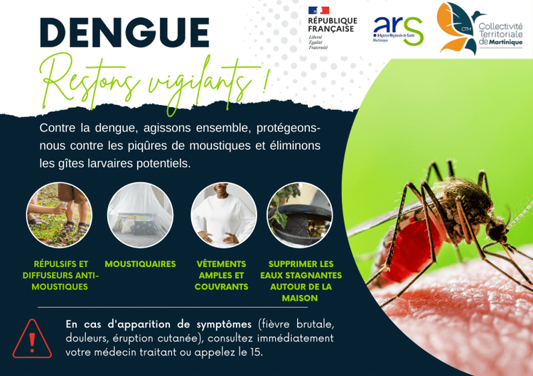 Prévention dengue