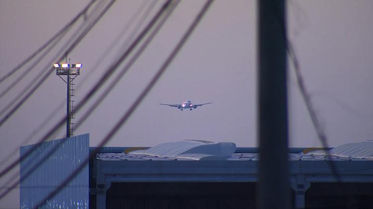 Colisões de aviões com aves em Campinas superam capital paulista