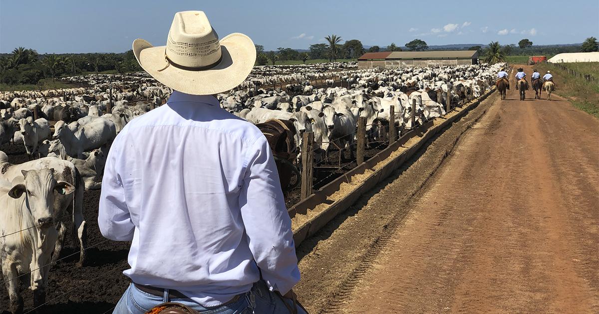 Recuperação judicial no agronegócio avança 22% no 1º trimestre e expõe pressão sobre o caixa