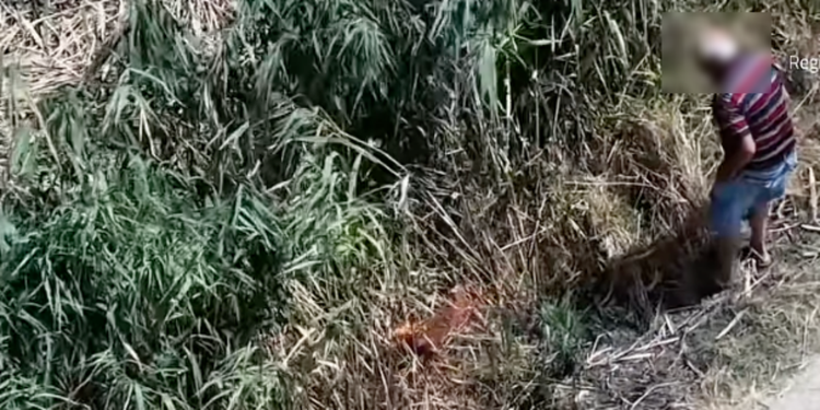 Incendi, l'appello di Occhiuto: «La Calabria ha bisogno degli occhi di tutti. Continuate a segnalare e denunciare»